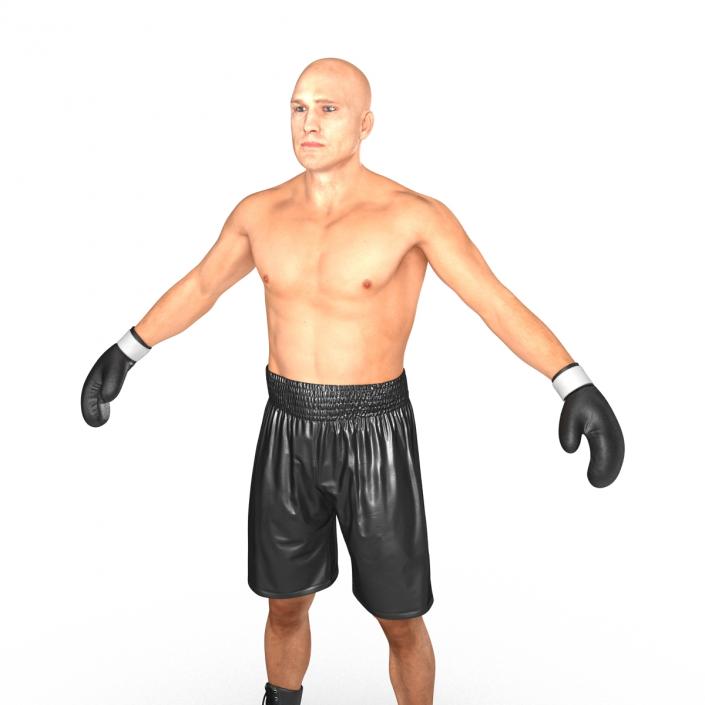 Adult Boxer Man 2 3D