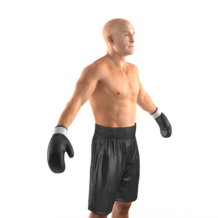 Adult Boxer Man 2 3D