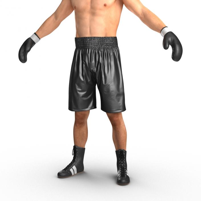 Adult Boxer Man 2 3D