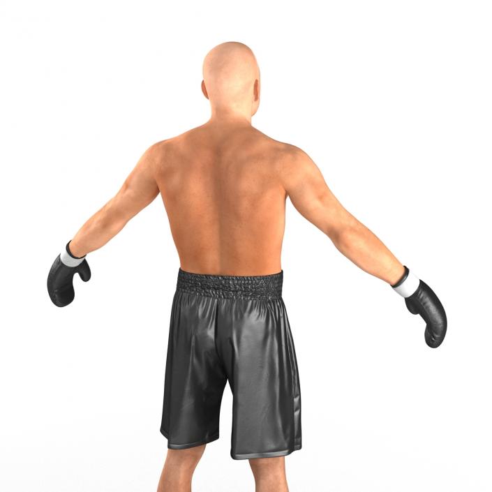 Adult Boxer Man 2 3D