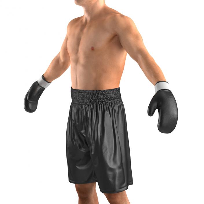 Adult Boxer Man 2 3D