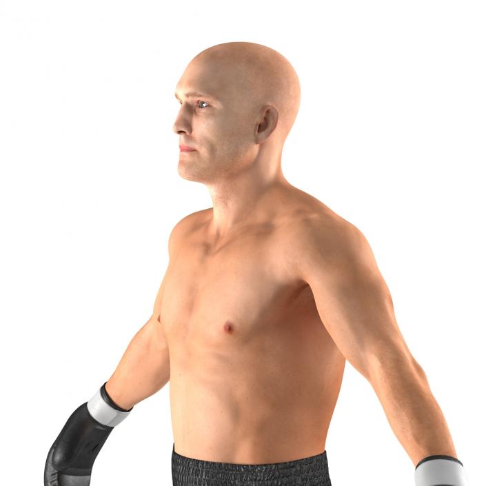 Adult Boxer Man 2 3D