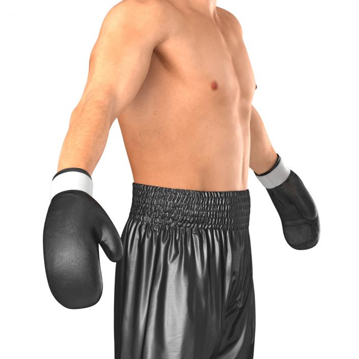 Adult Boxer Man 2 3D