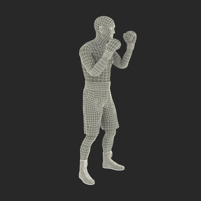 Adult Boxer Man 2 Pose 2 3D model