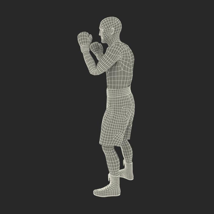 Adult Boxer Man 2 Pose 2 3D model