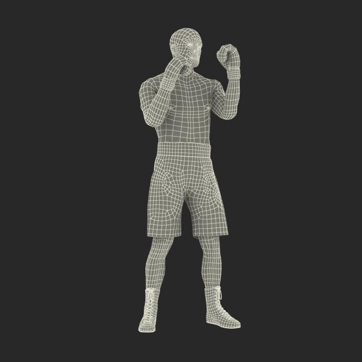 Adult Boxer Man 2 Pose 2 3D model