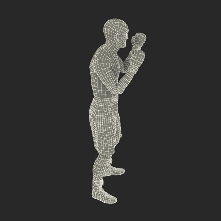 Adult Boxer Man 2 Pose 2 3D model