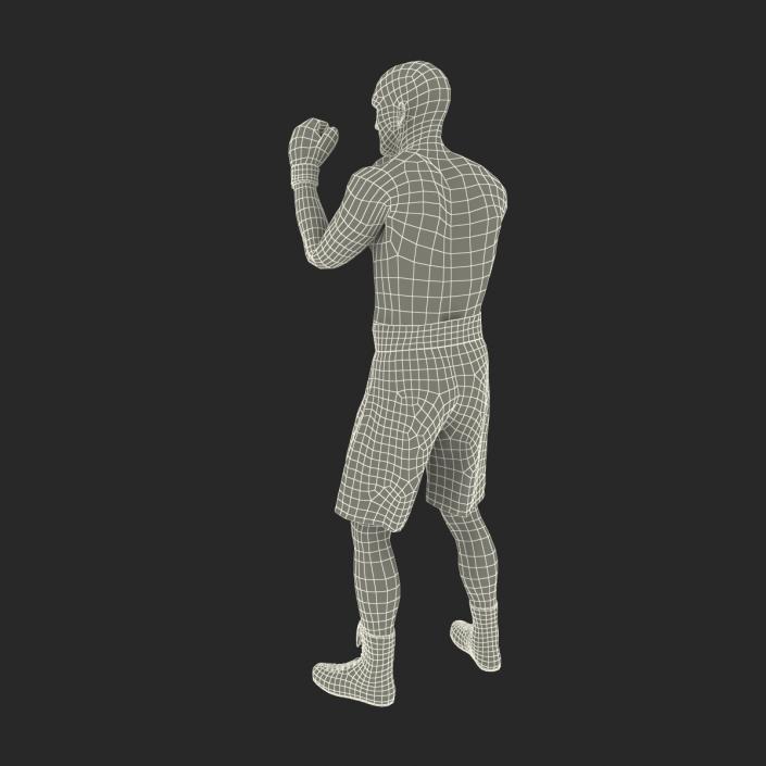 Adult Boxer Man 2 Pose 2 3D model