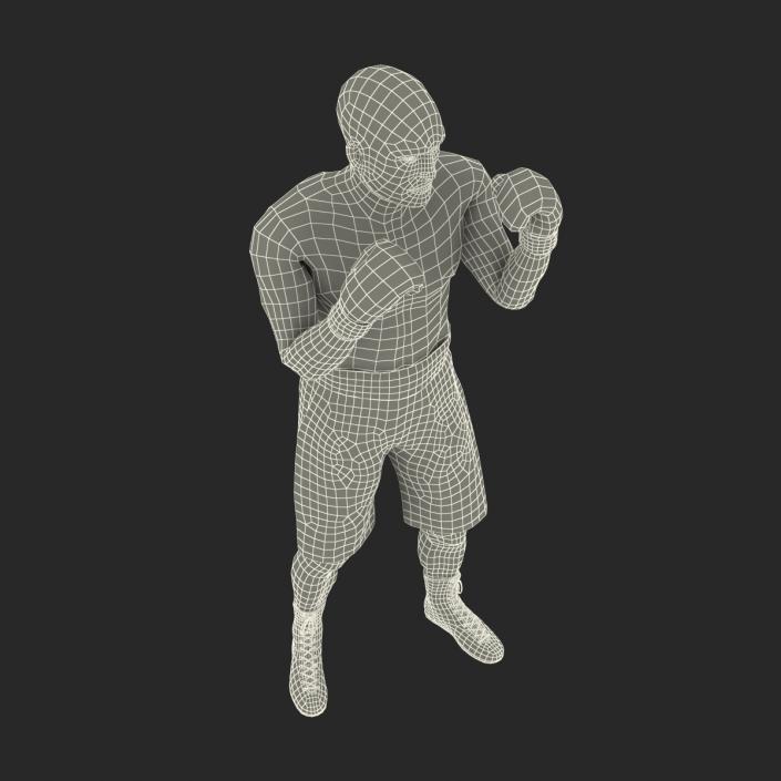 Adult Boxer Man 2 Pose 2 3D model