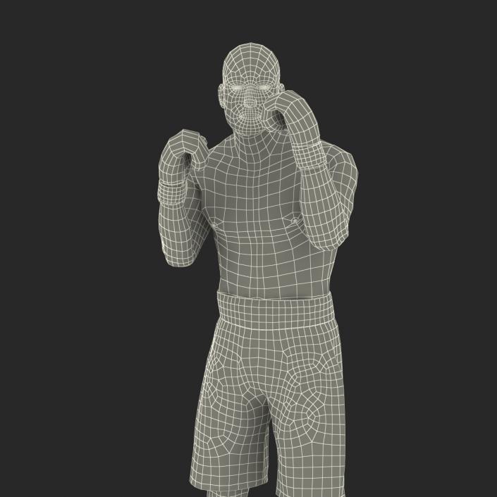 Adult Boxer Man 2 Pose 2 3D model