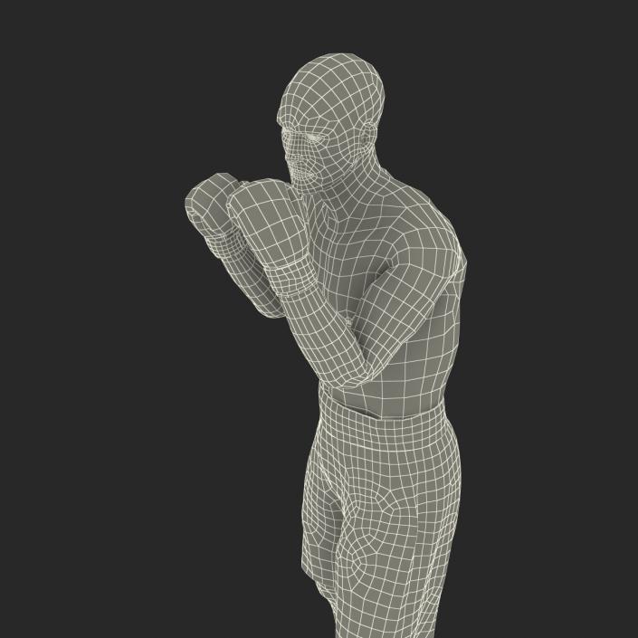 Adult Boxer Man 2 Pose 2 3D model