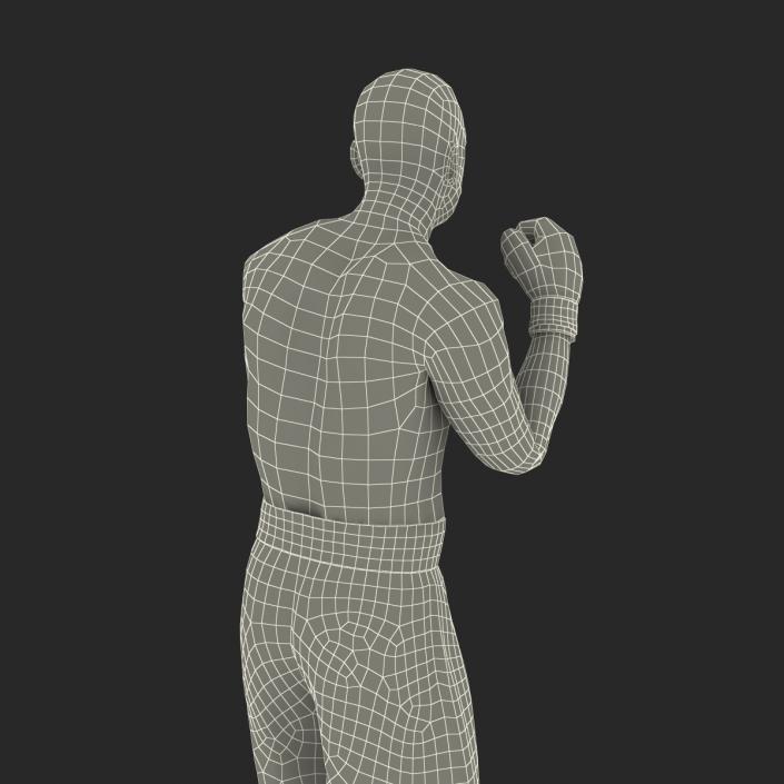 Adult Boxer Man 2 Pose 2 3D model