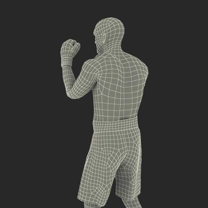 Adult Boxer Man 2 Pose 2 3D model