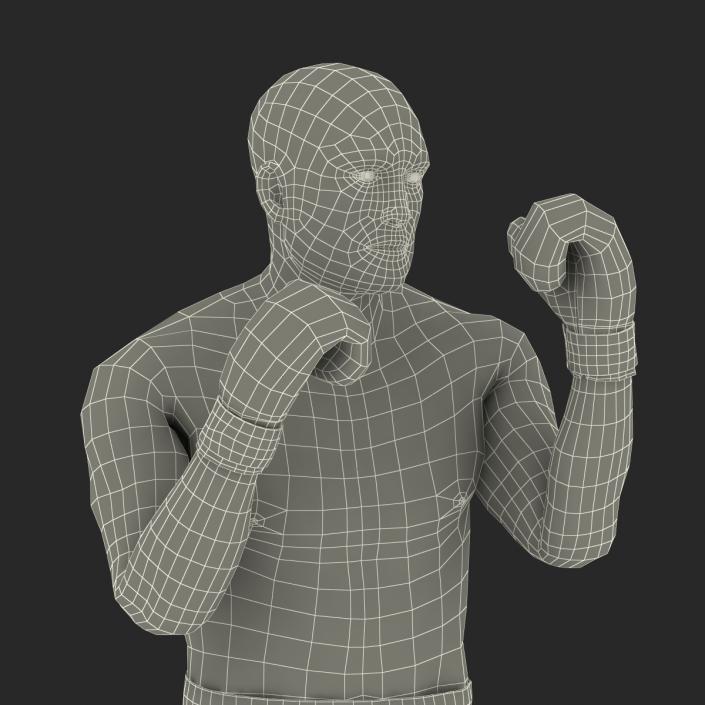 Adult Boxer Man 2 Pose 2 3D model