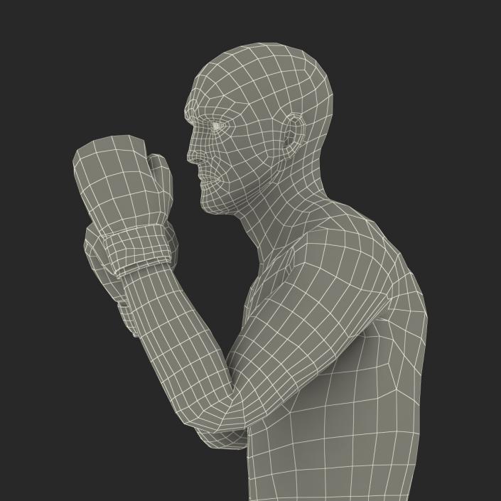 Adult Boxer Man 2 Pose 2 3D model