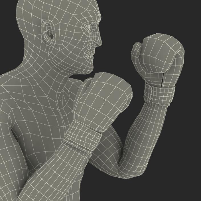 Adult Boxer Man 2 Pose 2 3D model