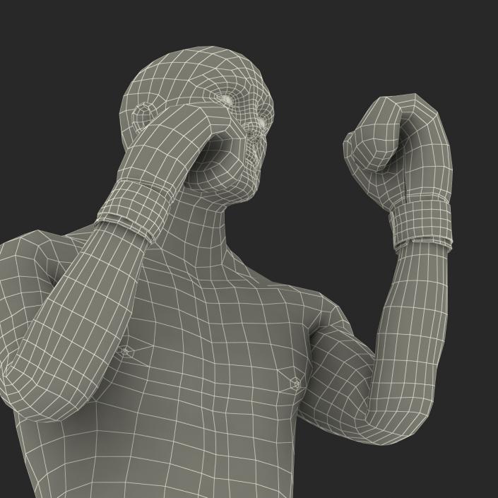 Adult Boxer Man 2 Pose 2 3D model