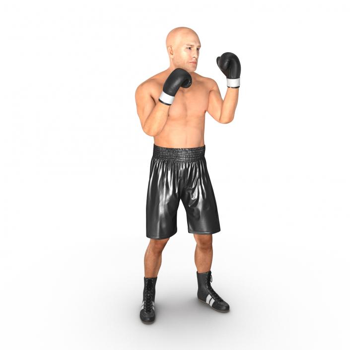 Adult Boxer Man 2 Pose 2 3D model