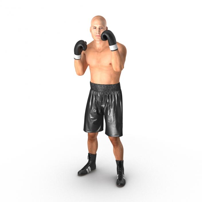 Adult Boxer Man 2 Pose 2 3D model