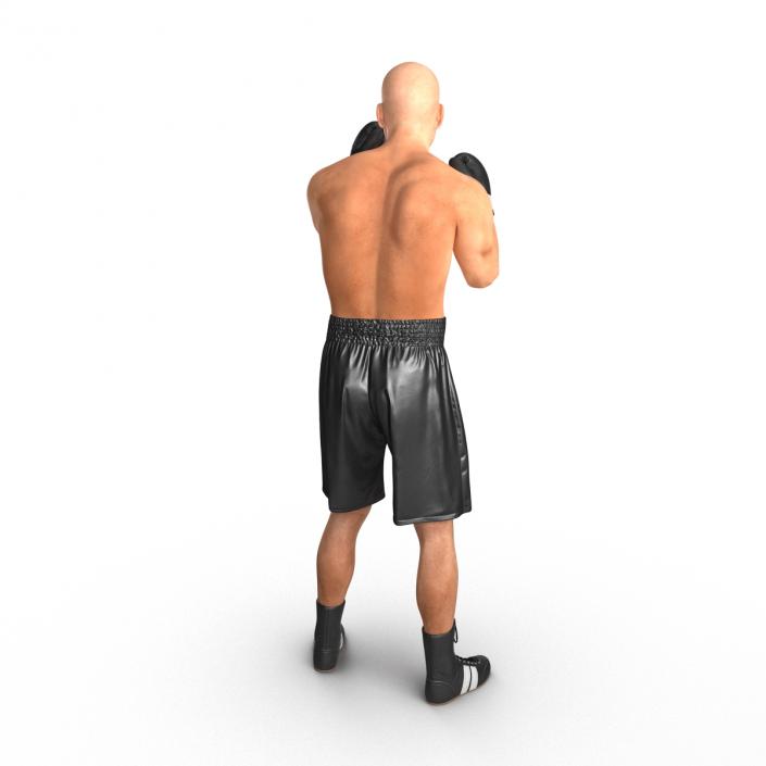 Adult Boxer Man 2 Pose 2 3D model