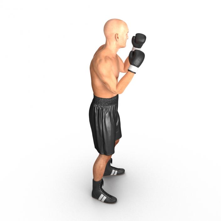 Adult Boxer Man 2 Pose 2 3D model