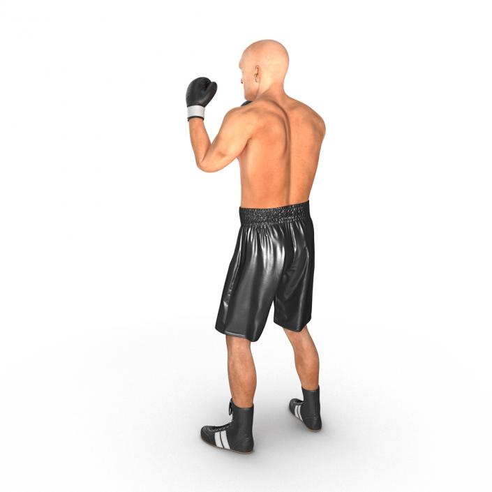 Adult Boxer Man 2 Pose 2 3D model