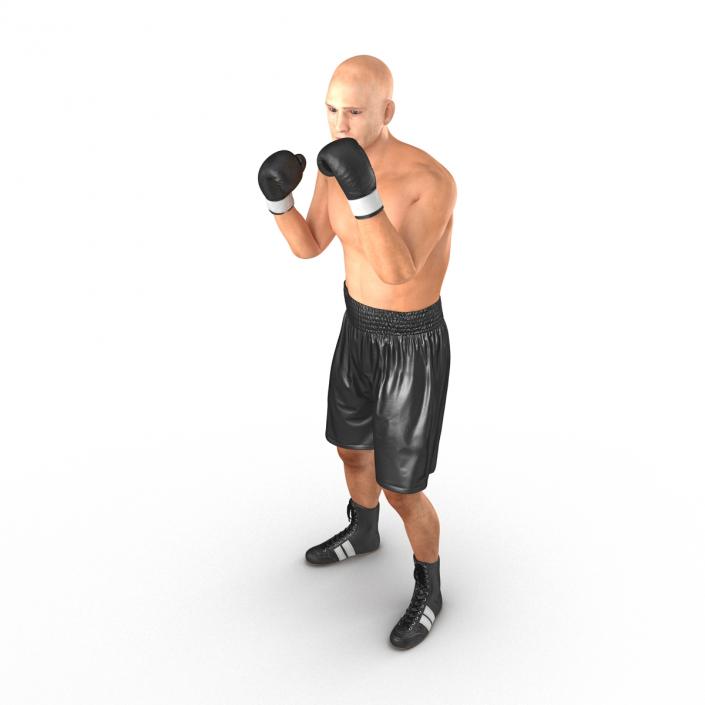 Adult Boxer Man 2 Pose 2 3D model