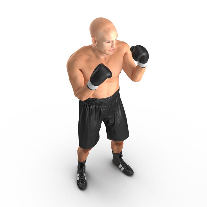 Adult Boxer Man 2 Pose 2 3D model