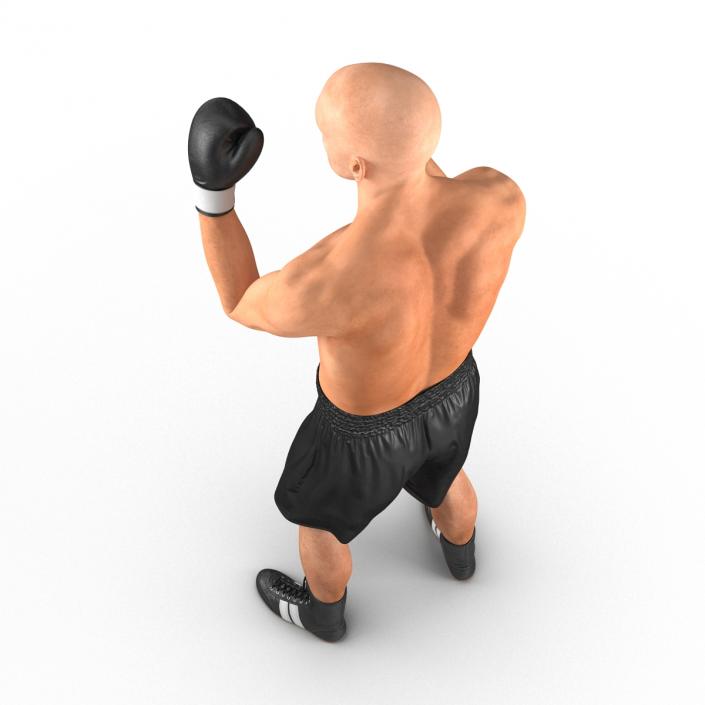 Adult Boxer Man 2 Pose 2 3D model