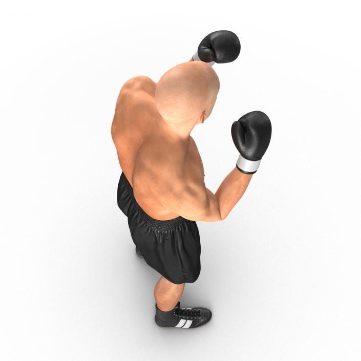 Adult Boxer Man 2 Pose 2 3D model