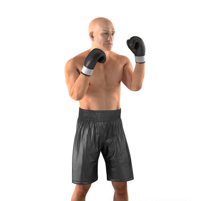 Adult Boxer Man 2 Pose 2 3D model