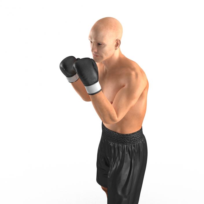 Adult Boxer Man 2 Pose 2 3D model