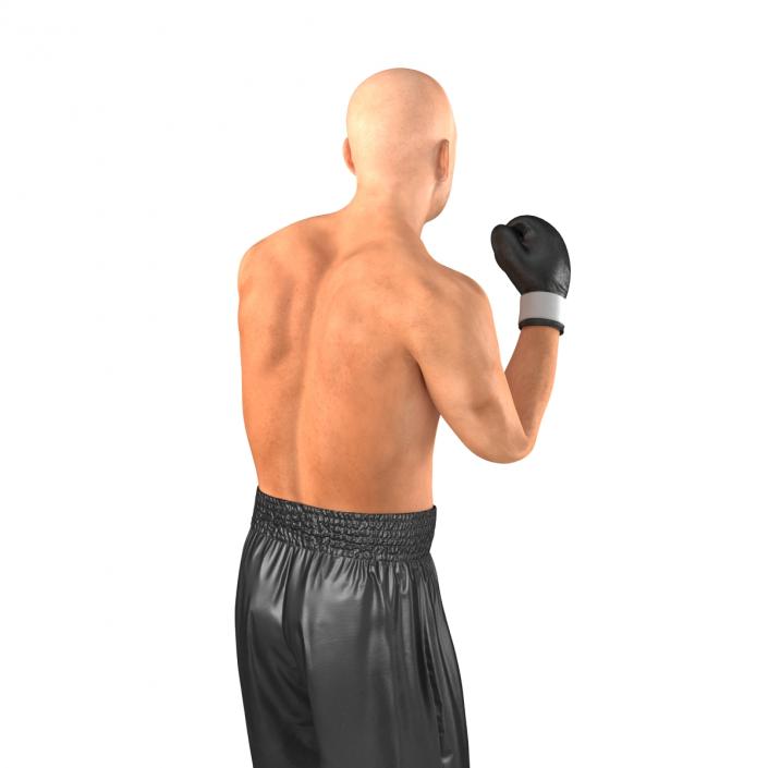 Adult Boxer Man 2 Pose 2 3D model