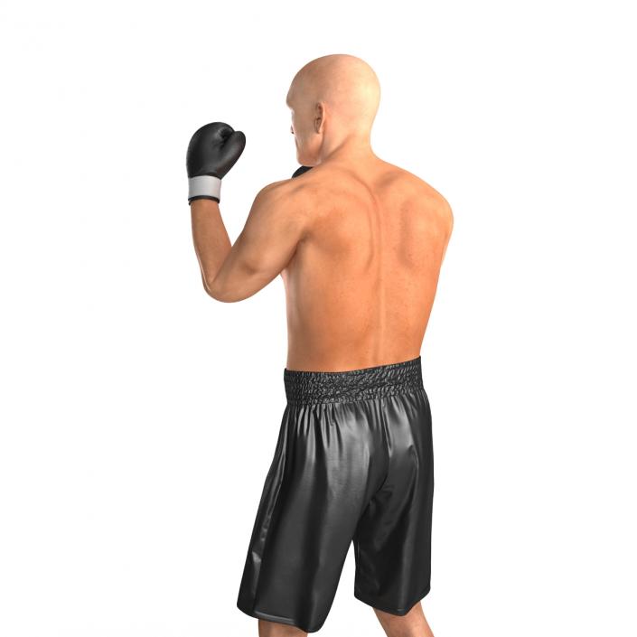 Adult Boxer Man 2 Pose 2 3D model