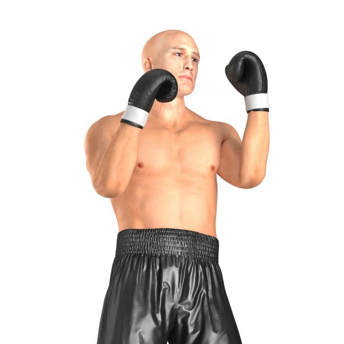 Adult Boxer Man 2 Pose 2 3D model