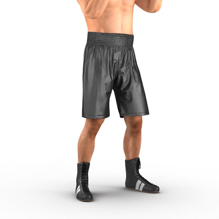 Adult Boxer Man 2 Pose 2 3D model