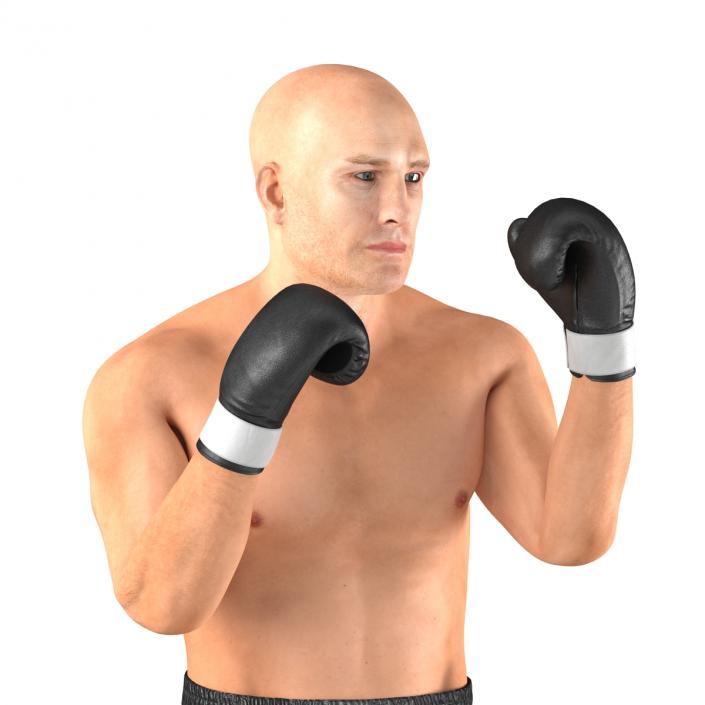 Adult Boxer Man 2 Pose 2 3D model