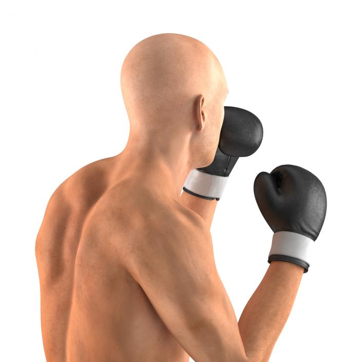 Adult Boxer Man 2 Pose 2 3D model