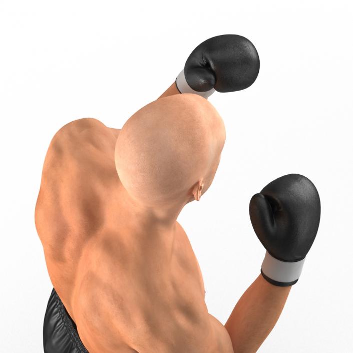 Adult Boxer Man 2 Pose 2 3D model