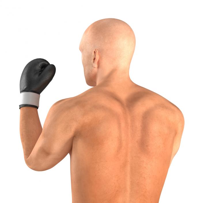 Adult Boxer Man 2 Pose 2 3D model