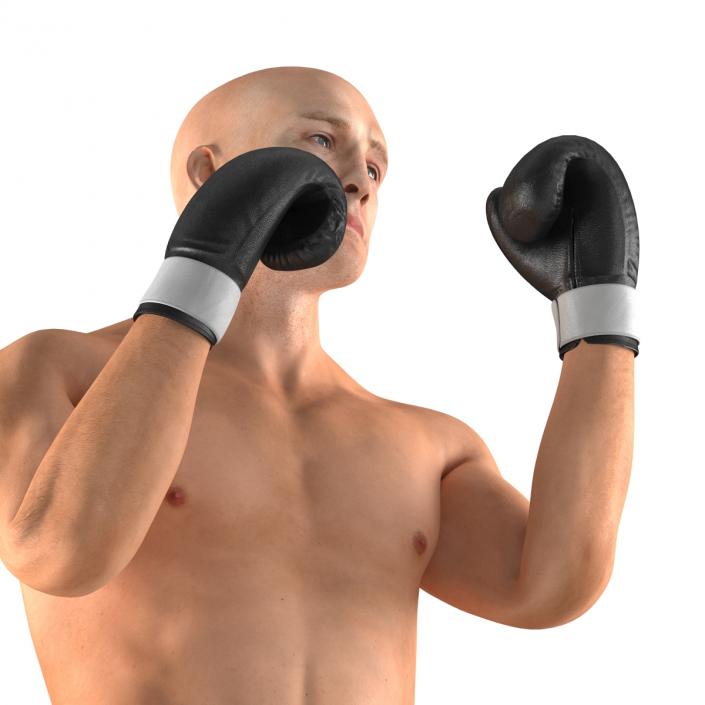 Adult Boxer Man 2 Pose 2 3D model