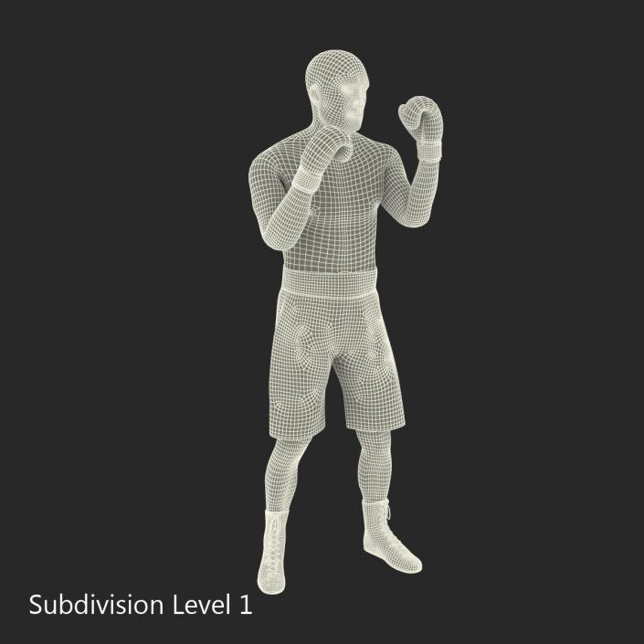 Adult Boxer Man 2 Pose 2 3D model