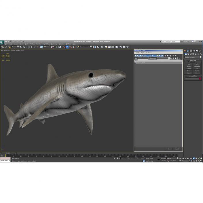 3D model Blacknose Shark