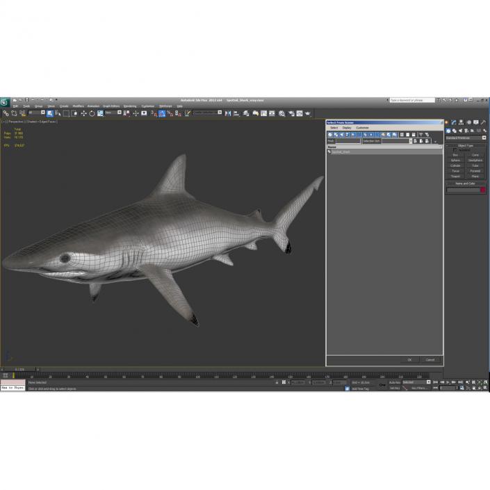 Spottail Shark 3D model