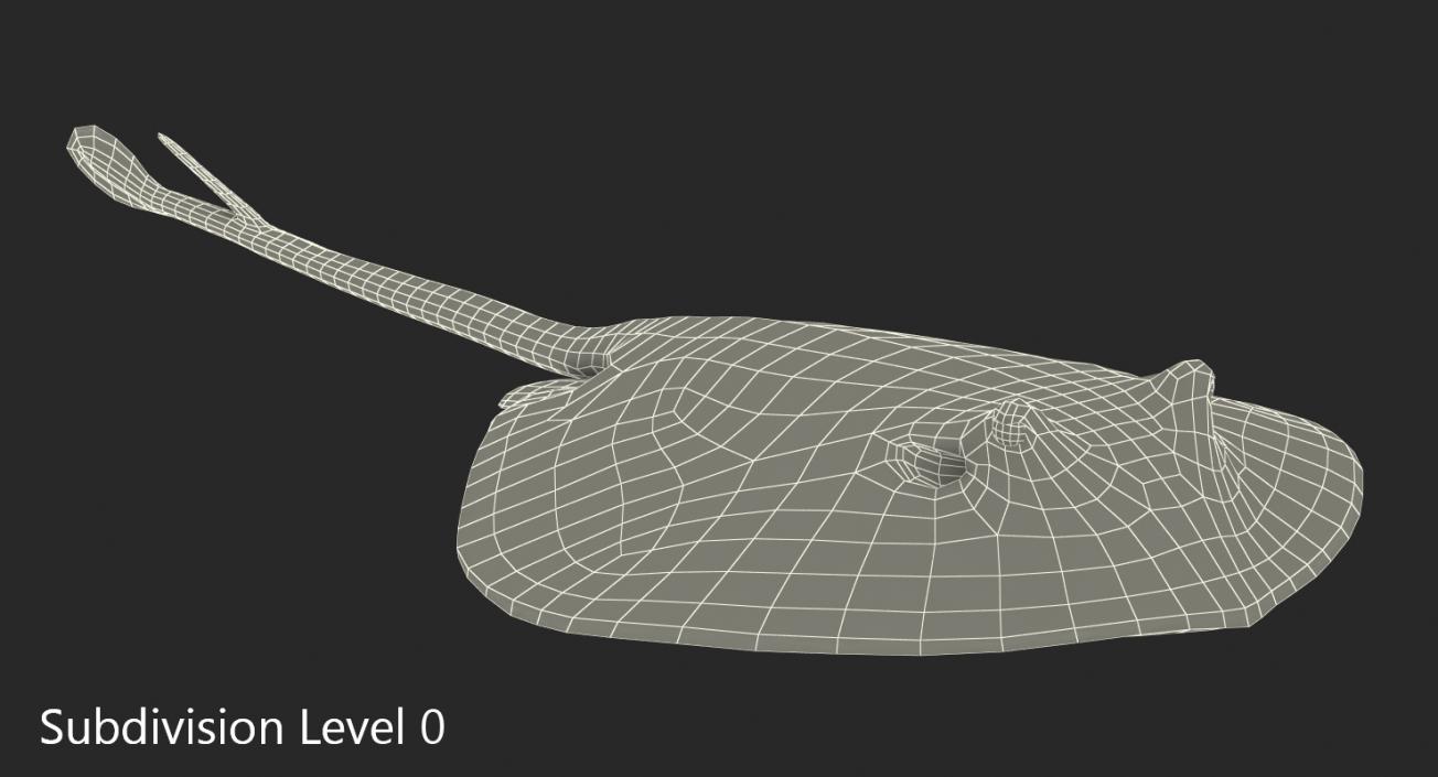 3D model Stingray