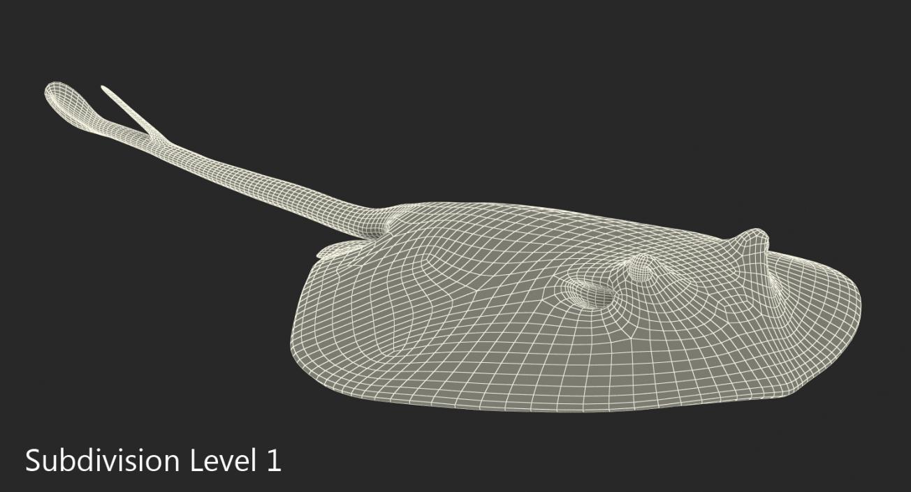 3D model Stingray