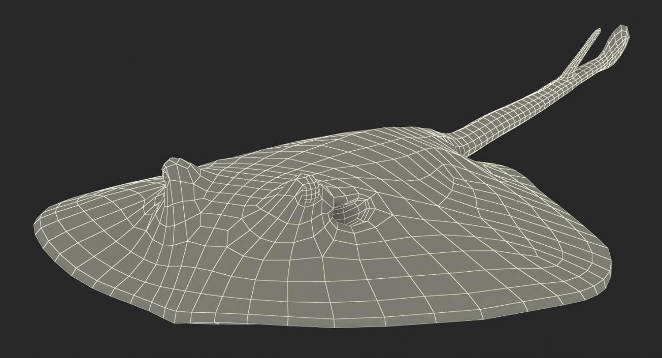 3D model Stingray