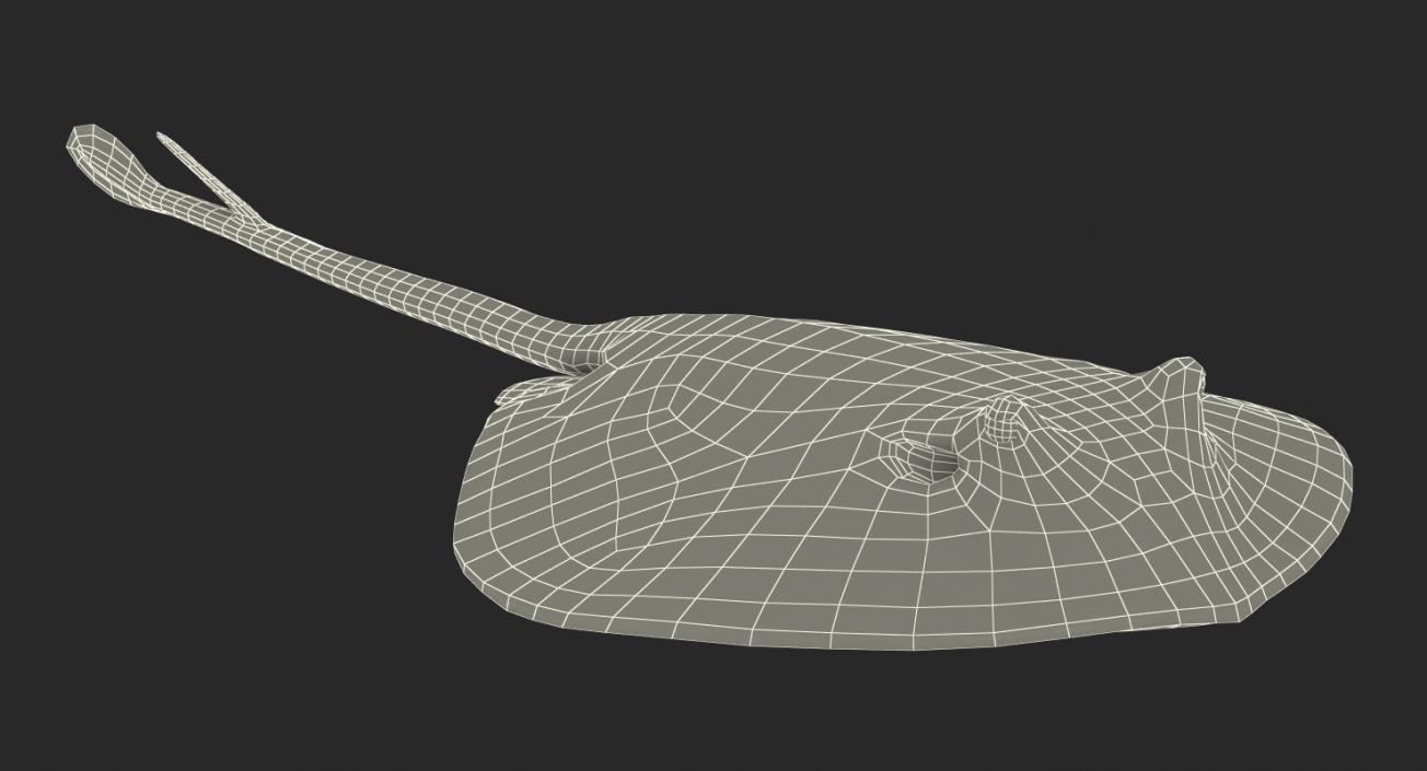 3D model Stingray