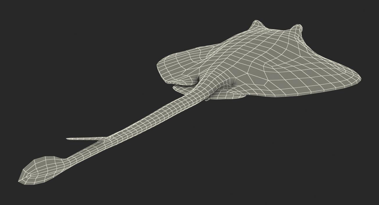 3D model Stingray