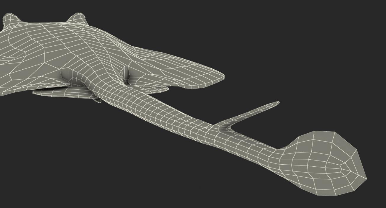 3D model Stingray